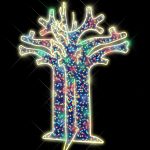 Multicolour Illuminated Boabab Tree